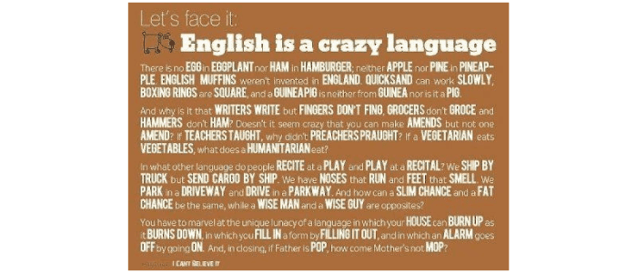 17 English Language Memes To Spark Your Fluency Lingq Blog
