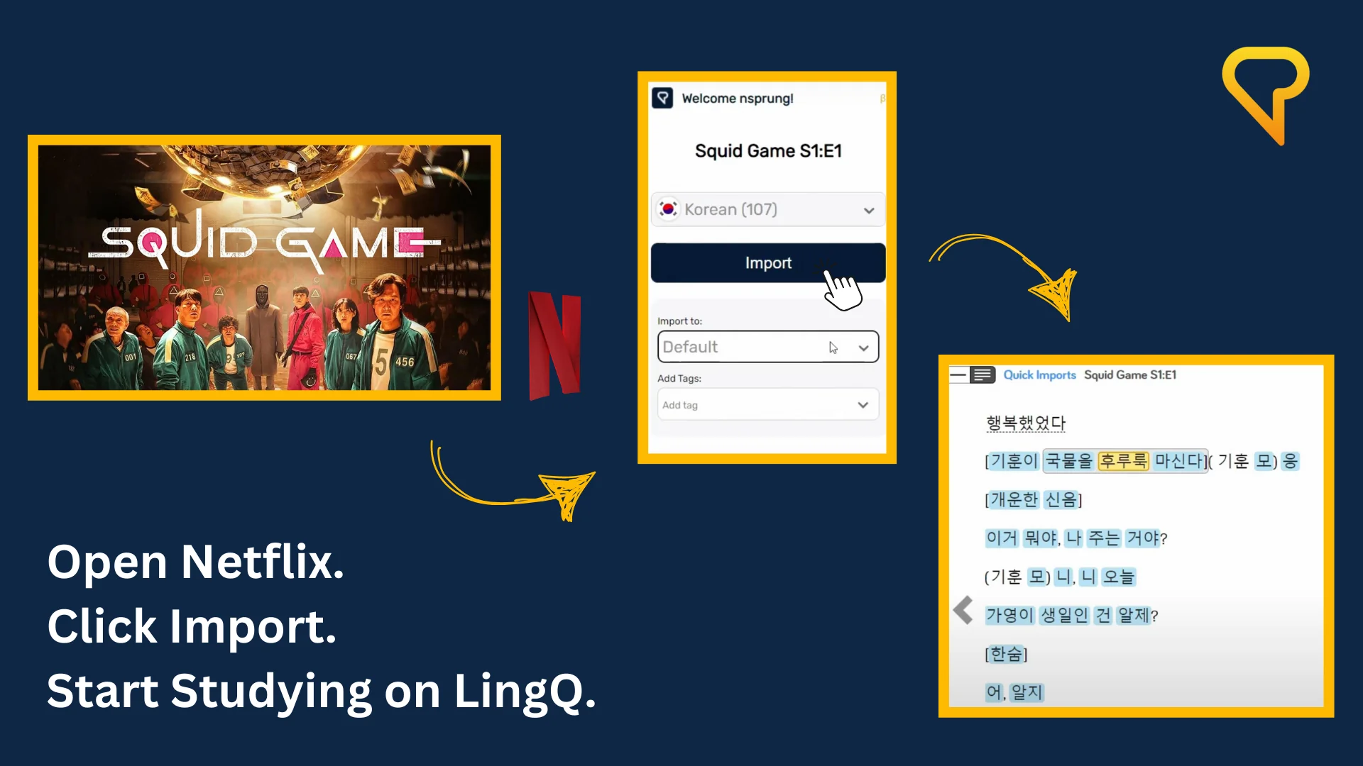 Import your favorite Netflix content onto LingQ with our browser extension